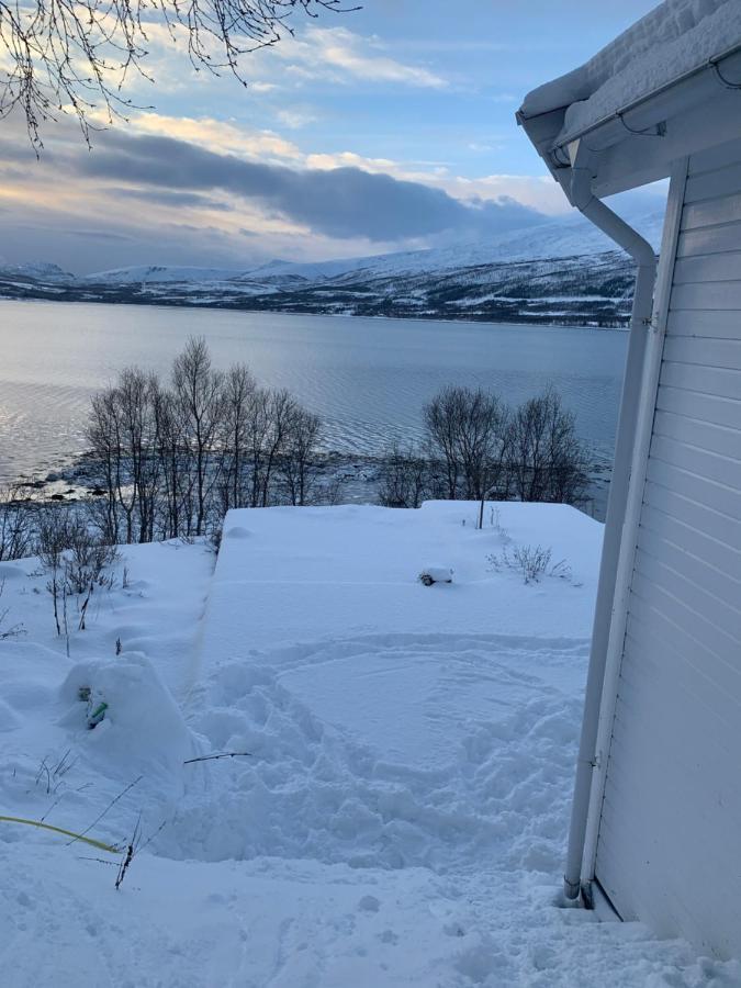 Hakoyveien 151, Tromso Hotel Exterior photo